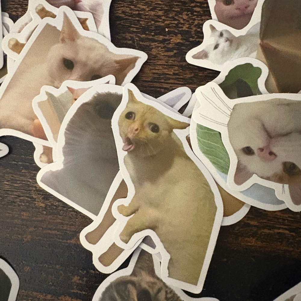 Cat Sticker Pack - Multicolor - Picture 9 of 9